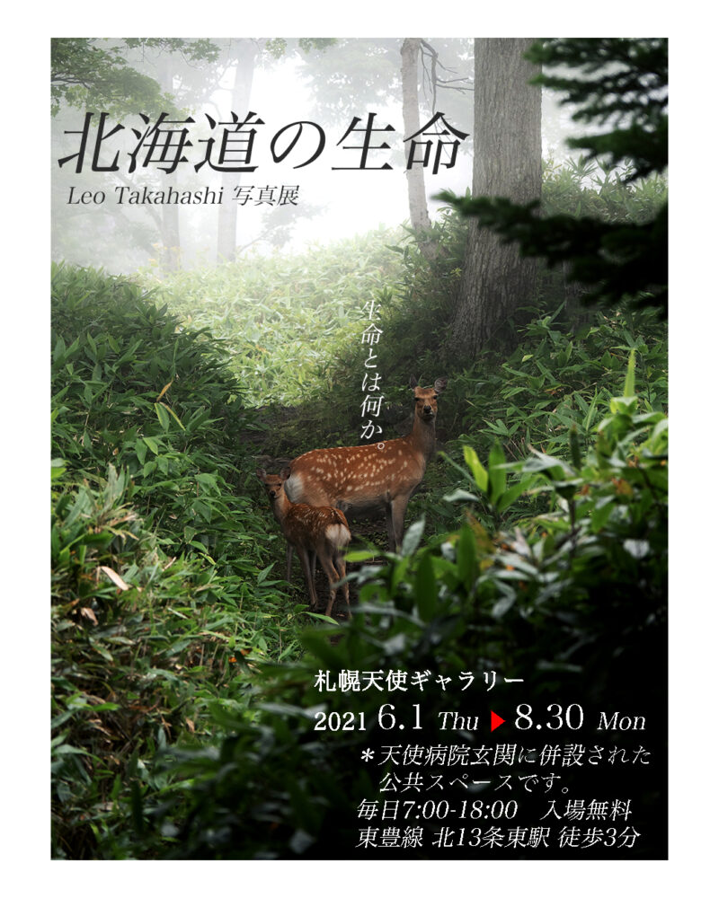 高橋レオ個展・写真展北海道の生命